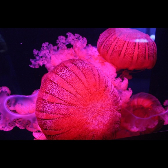 RYLEE!!! - Picture 2 of 8