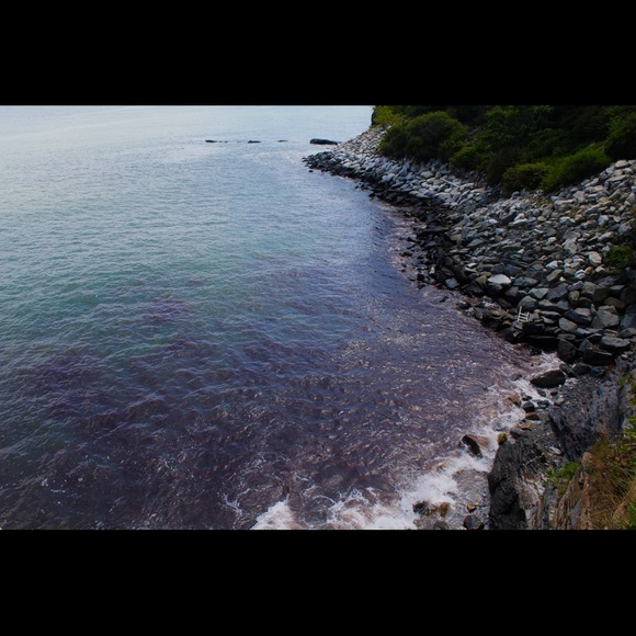 RYLEE!!! - Picture 6 of 8