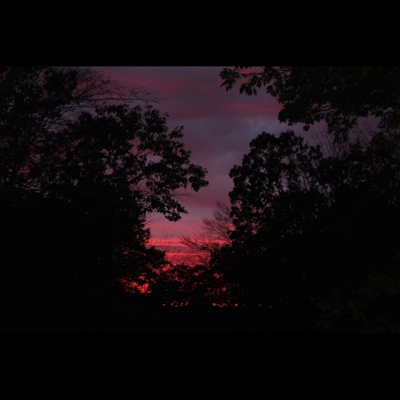 RYLEE!!! - Picture 8 of 8