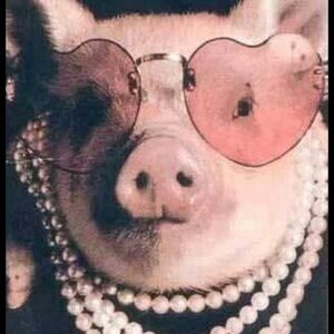 Meet your Posher, Araceli