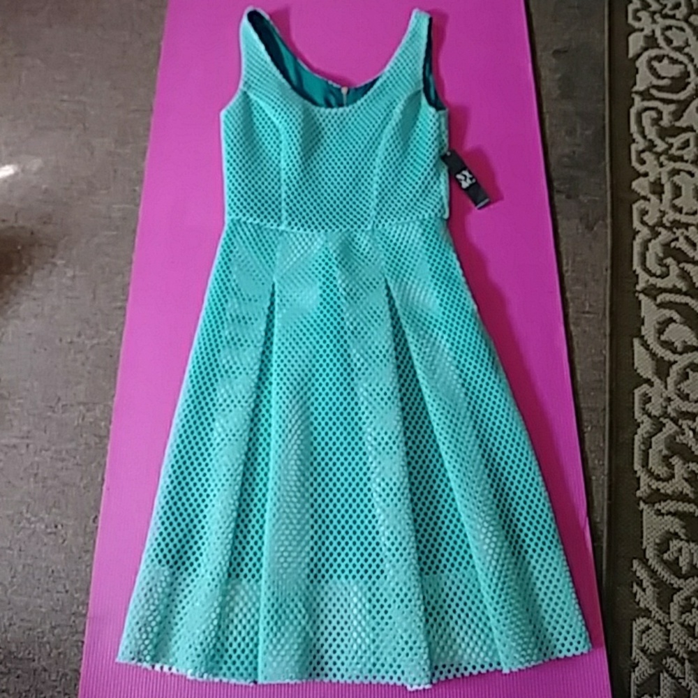 Teal Fishnet Dress From New York & Company
