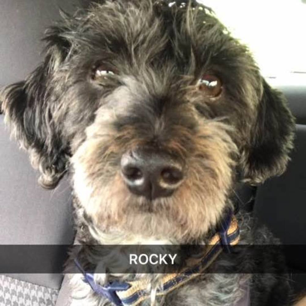 Meet your Posher, Cielo