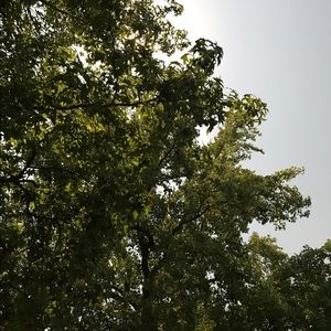 Meet your Posher, Kendra