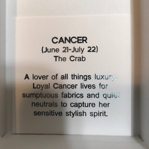 Michael Kors Cancer bag charm keychain zodiac - Picture 4 of 5