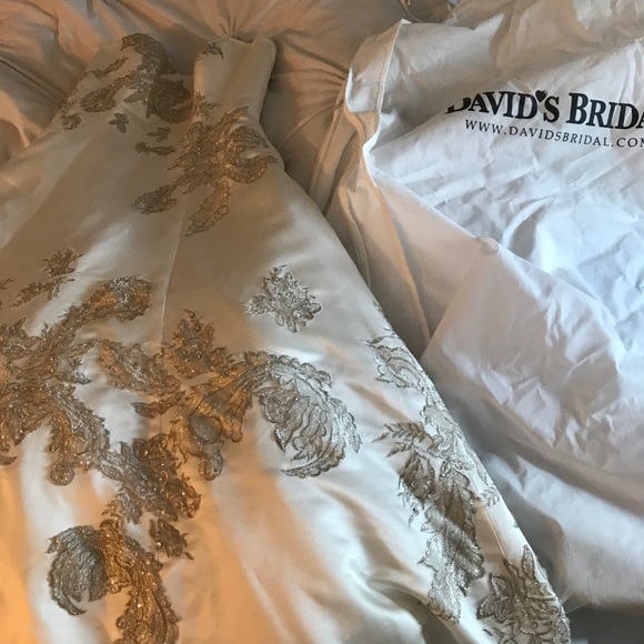 Oleg Cassini Lace Peek-a-Boo Back Wedding Dress - Picture 2 of 9