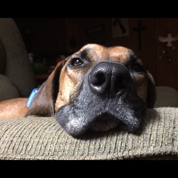 Meet your Posher, Nicole - Picture 1 of 1