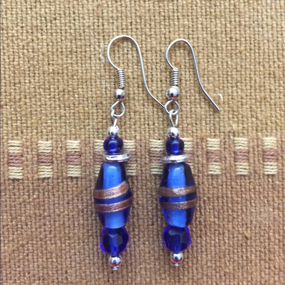 NWOT Blue Earrings