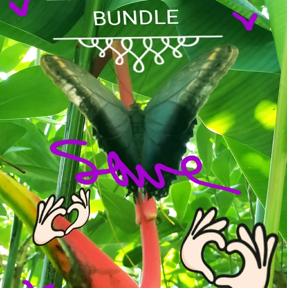 BUNDLE AND SAVE