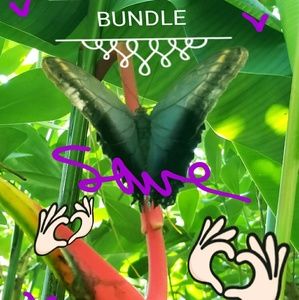 BUNDLE AND SAVE