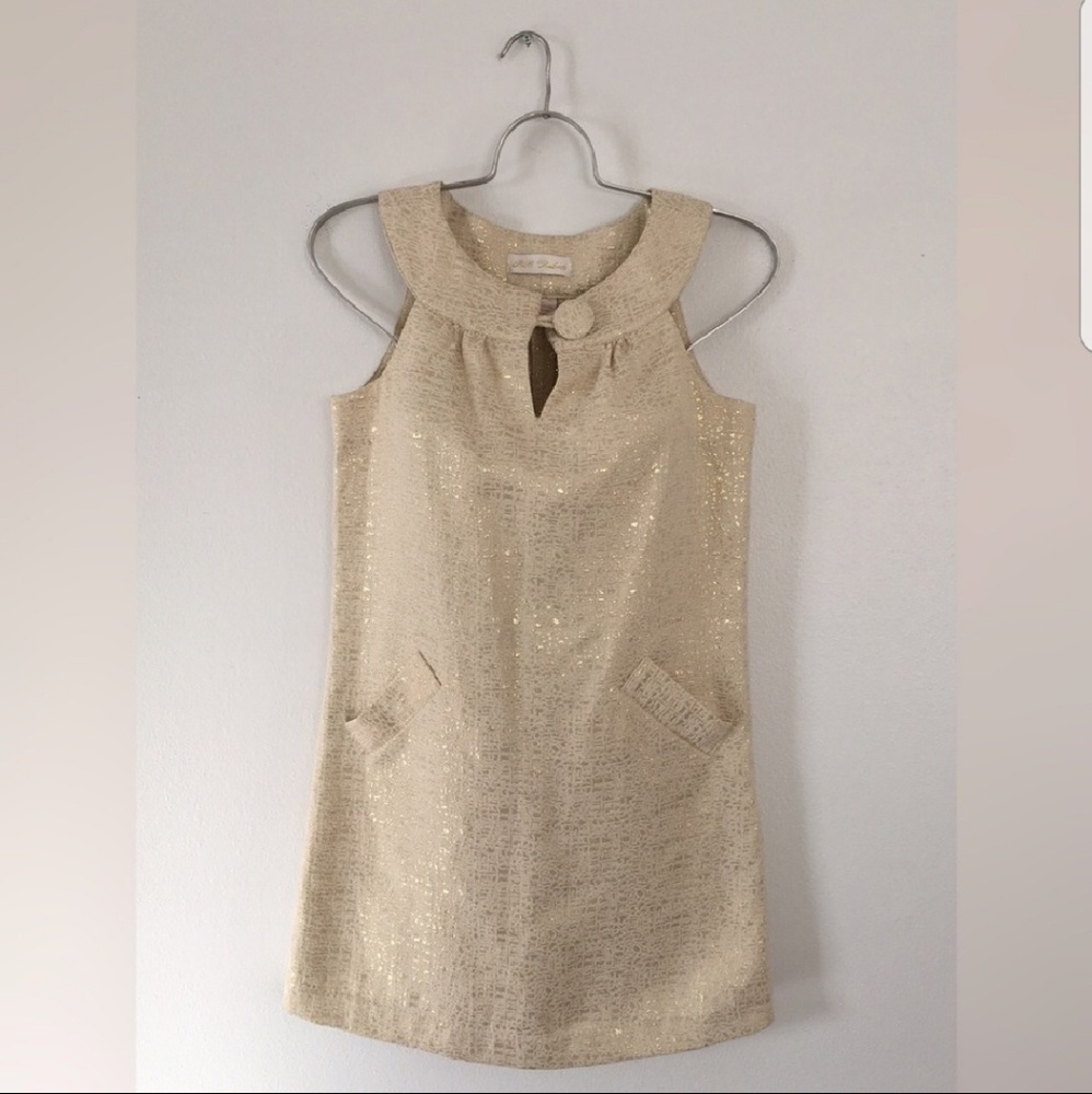 Metallic Dress