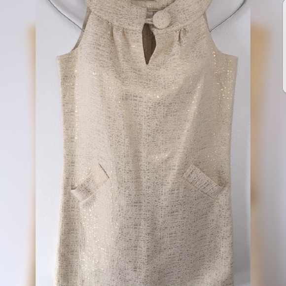 Metallic Dress - Picture 2 of 3