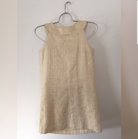 Metallic Dress - Picture 3 of 3