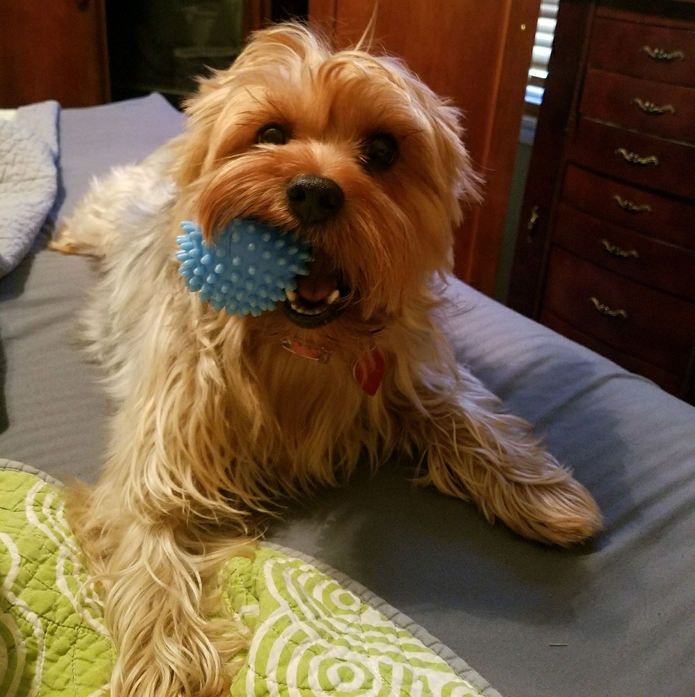 Meet your Posher, Mercedes