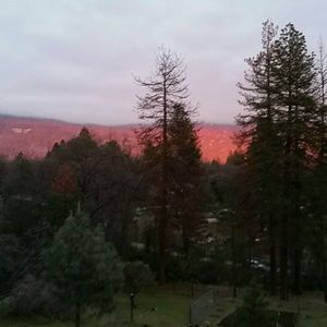 Meet your Posher, Pat