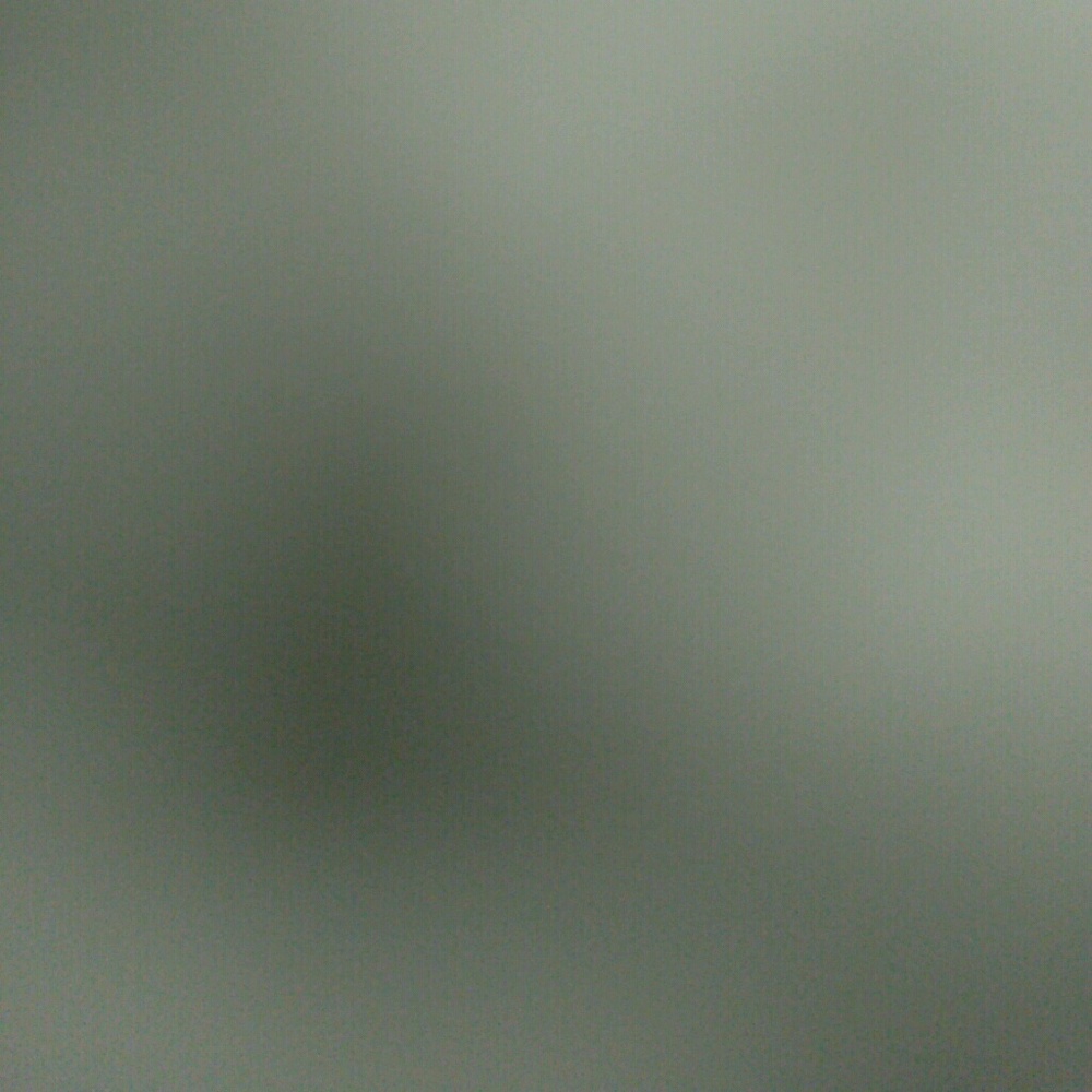 Meet your Posher, Selena