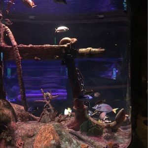 Meet your Posher, Tarryn