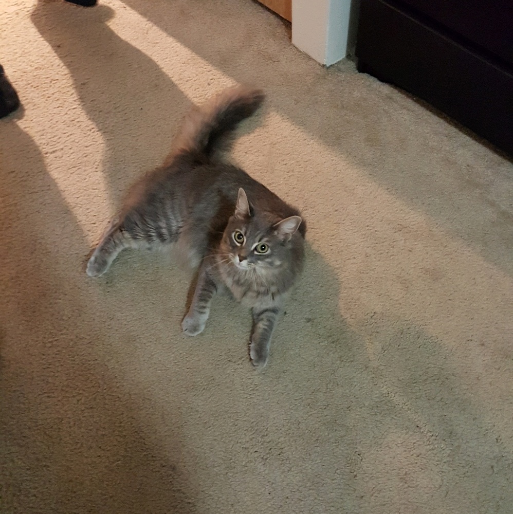 Meet your Posher, Jacquelyn