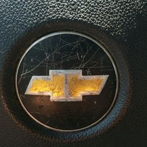 Meet your Posher, Gus