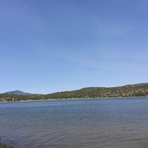 Meet your Posher, Katelynn