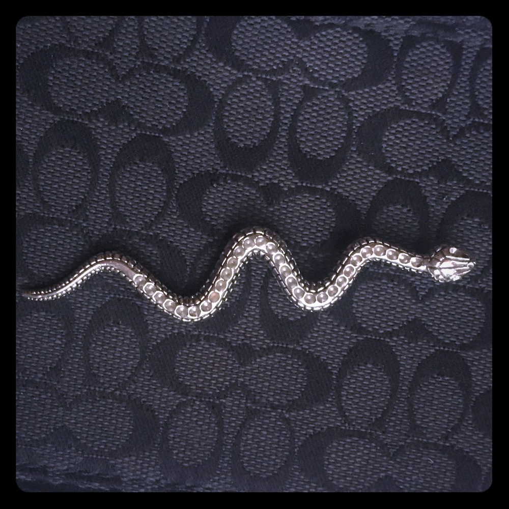 🍃FLaSH ITEM⌛️Silver Snake statement Pendant Charm