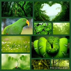 ⭐ Customized lot # 2⭐ for Laura