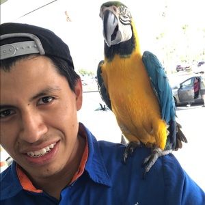 Meet your Posher, Eduardo