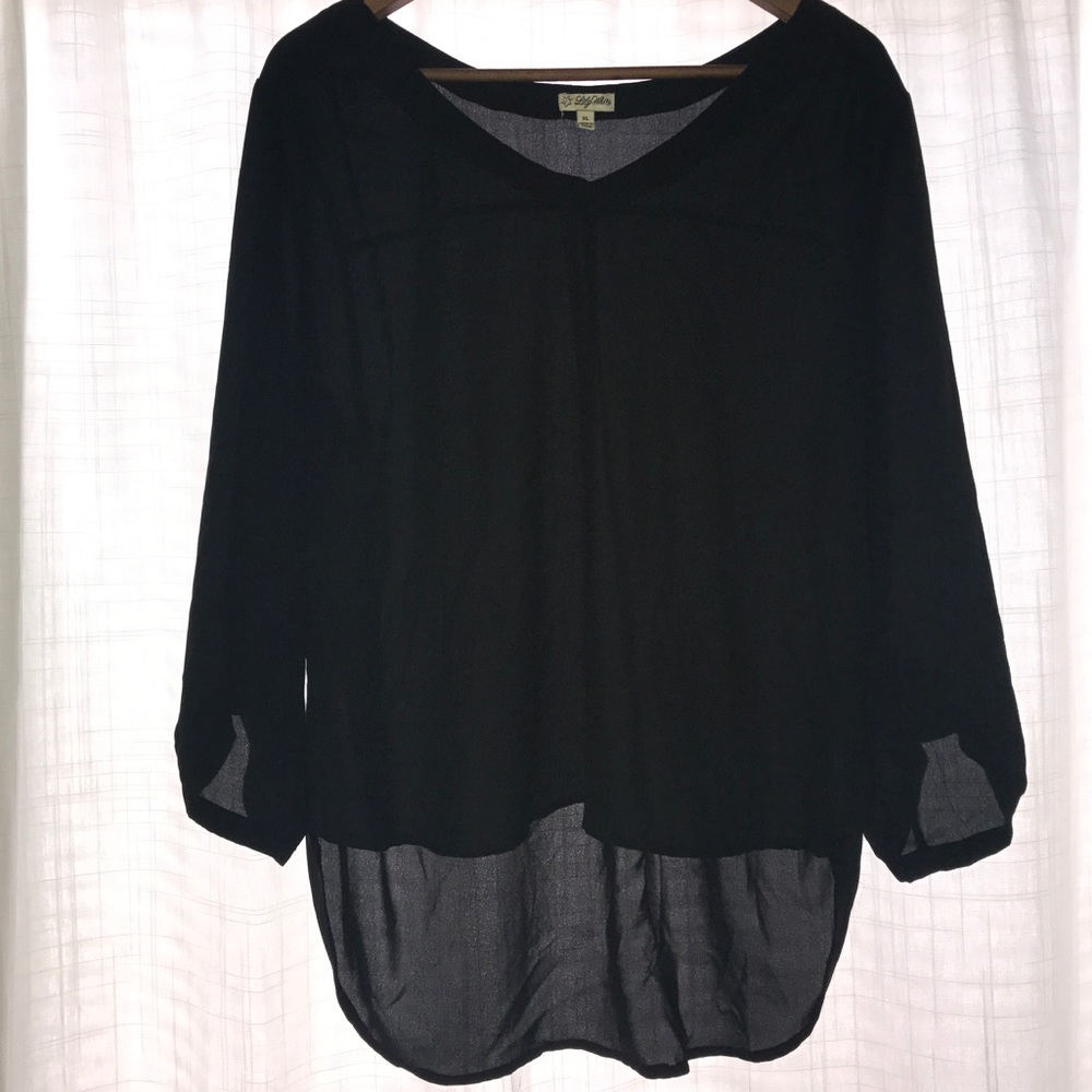 Long Sleeve Sheer Top