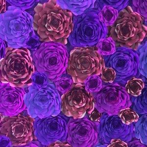 Meet your Posher, Dailyn