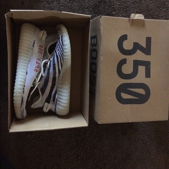 Yeezy zebra 350