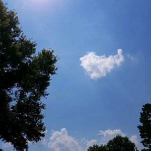 Meet your Posher, Gerald