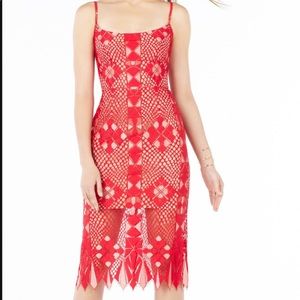 BCBG Alese Asymmetrical Geometric Lace Dress