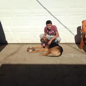 Meet your Posher, Ulysses