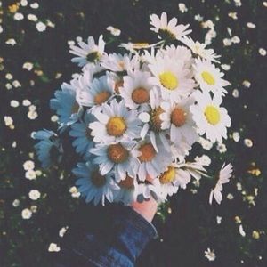 Meet your Posher, Pam