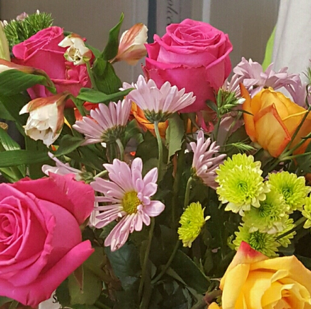 Meet your Posher, Cynthia