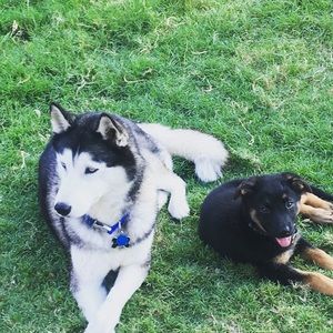 Meet your Posher, Allison