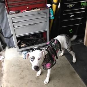 Meet your Posher, Matt