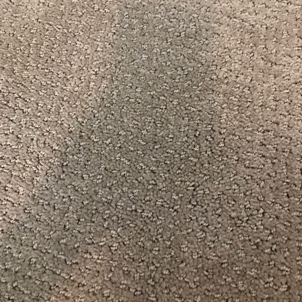 Meet your Posher, Jess