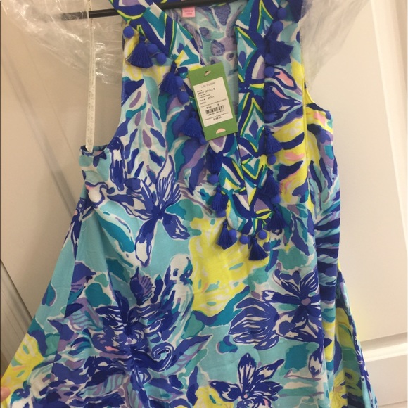 Achelle Swing Dress - MED - NWT - Picture 4 of 5