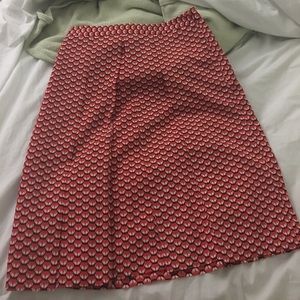 Skirt from The Limited
