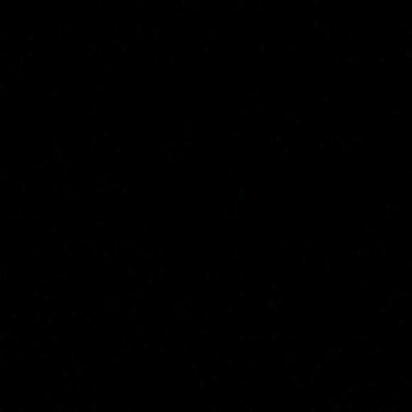 Meet your Posher, Laisha - Picture 1 of 1