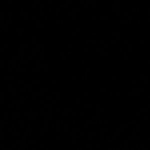 Meet your Posher, Laisha