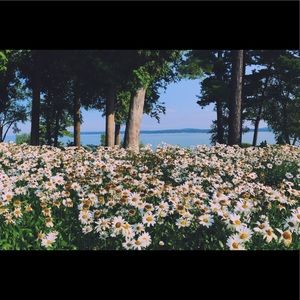 Meet your Posher, Ella