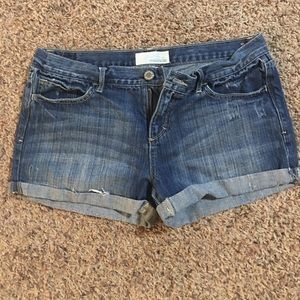 Maurice's Denim Shorts