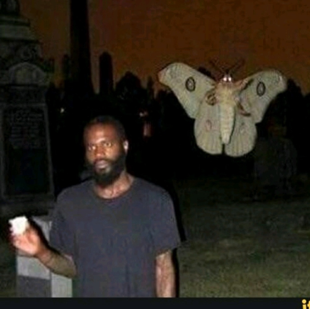 Meet your Posher, Kaycee