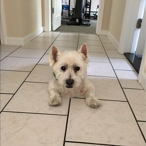 Meet your Posher, Teri