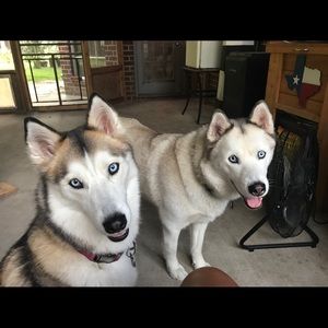 Meet your Posher, Christian