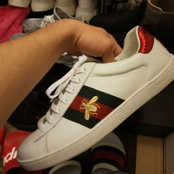gucci bee sneakers