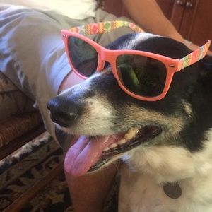 Meet your Posher, Chase