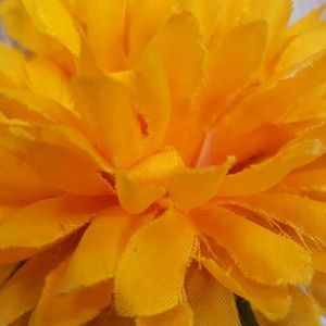 Meet your Posher, Tuyethong