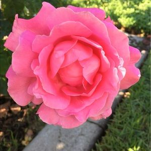 Meet your Posher, Deanna